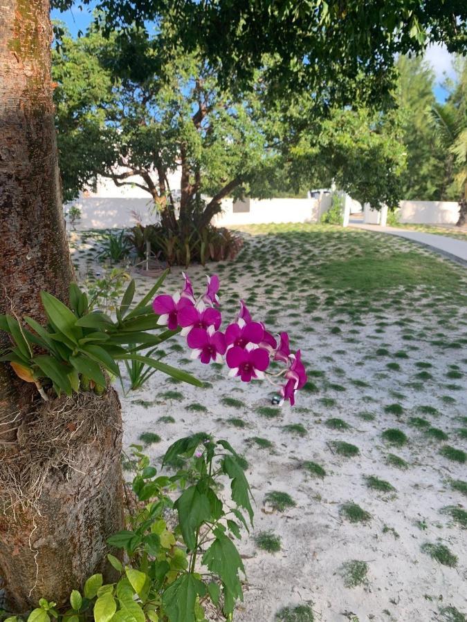 Gumbo Limbo Home ガバナーズ・ハーバー エクステリア 写真